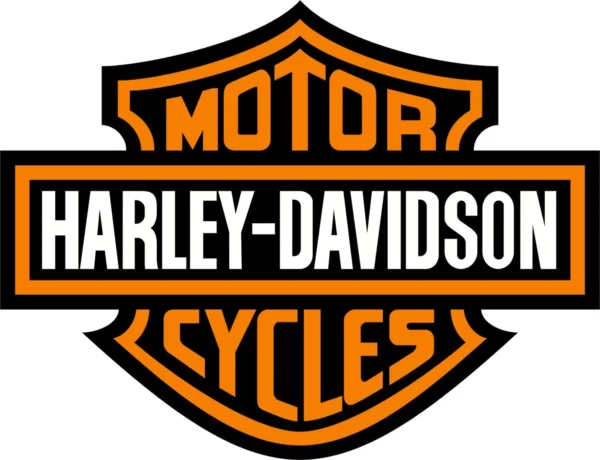 HARLEY DAVIDSON - A27220B  VIVID BLACK - immagine 5